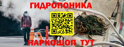 стаф Донецк