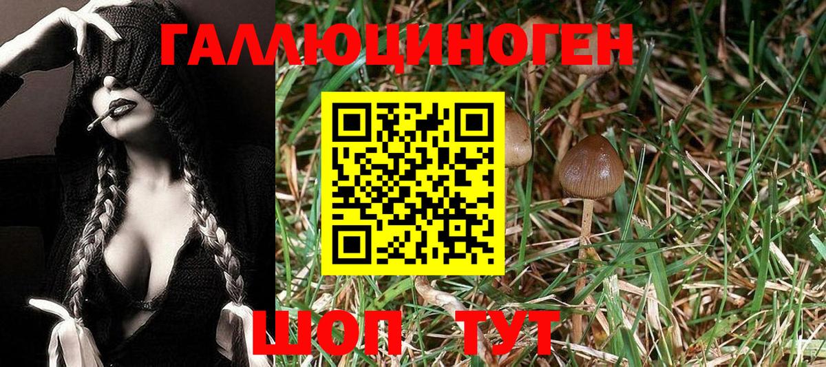 Галлюциногенные грибы MAGIC MUSHROOMS Биробиджан