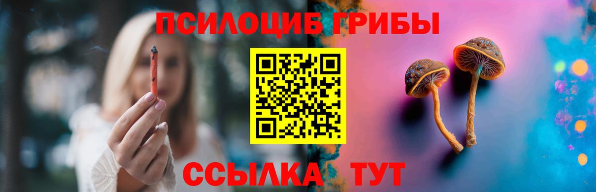 Псилоцибиновые грибы Psilocybine cubensis  Вход с VPN  Биробиджан 